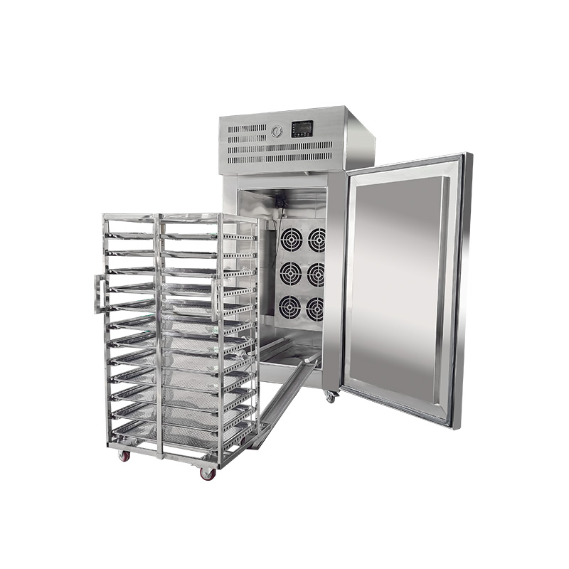 10 trays air blast freezer