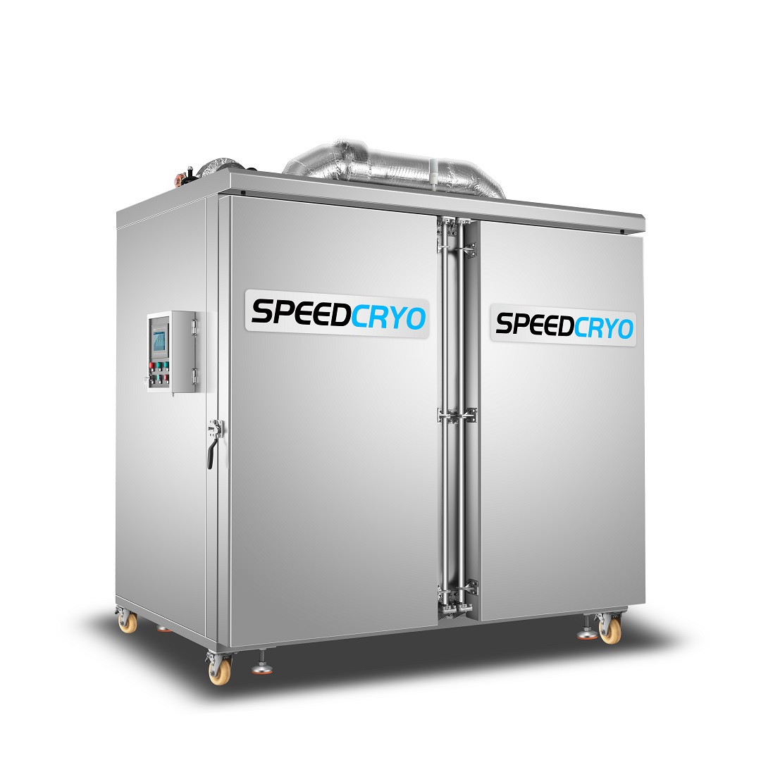 Double-Door Liquid Nitrogen Cabinet Freezer