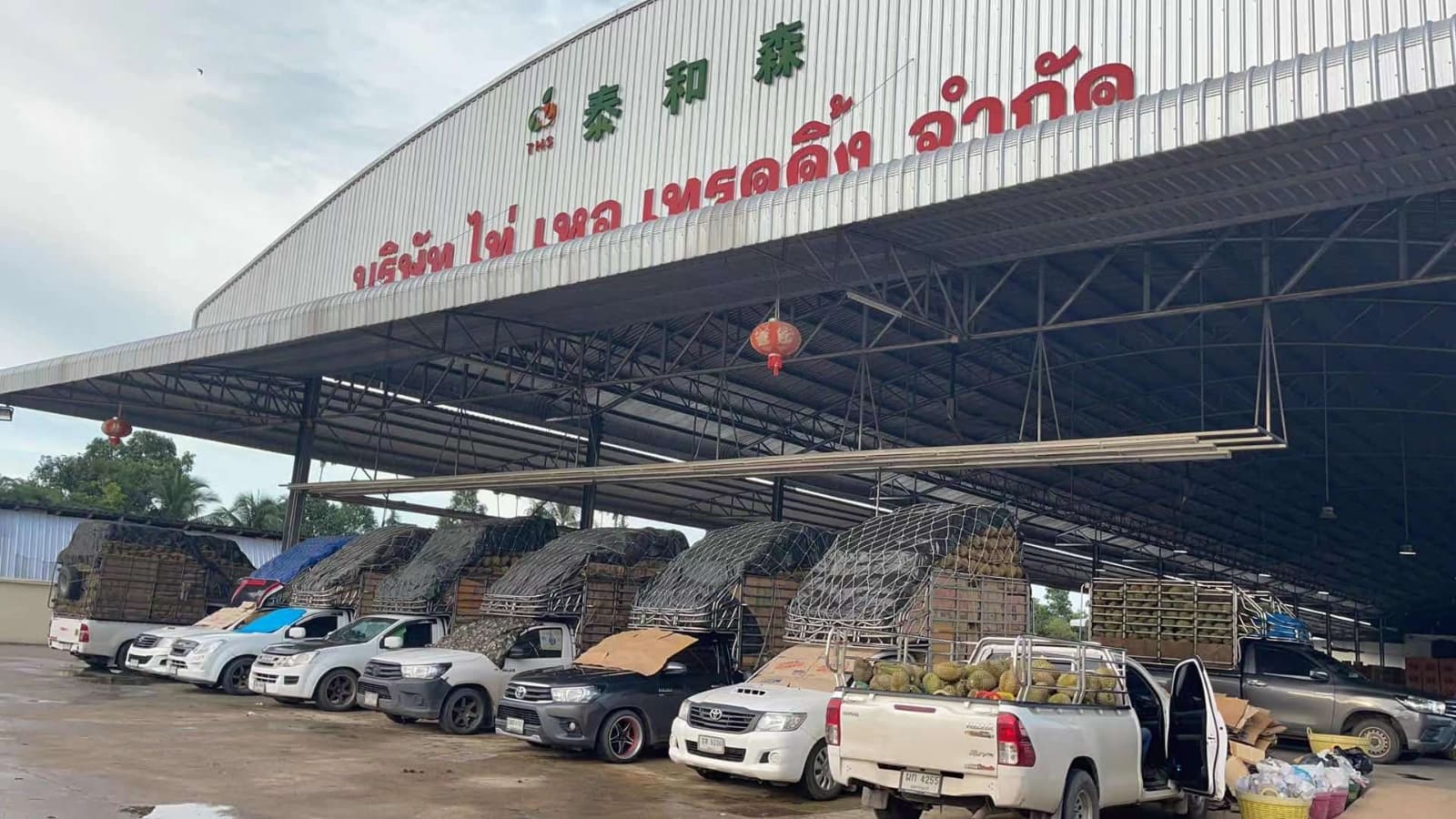 Durian Processing Plant