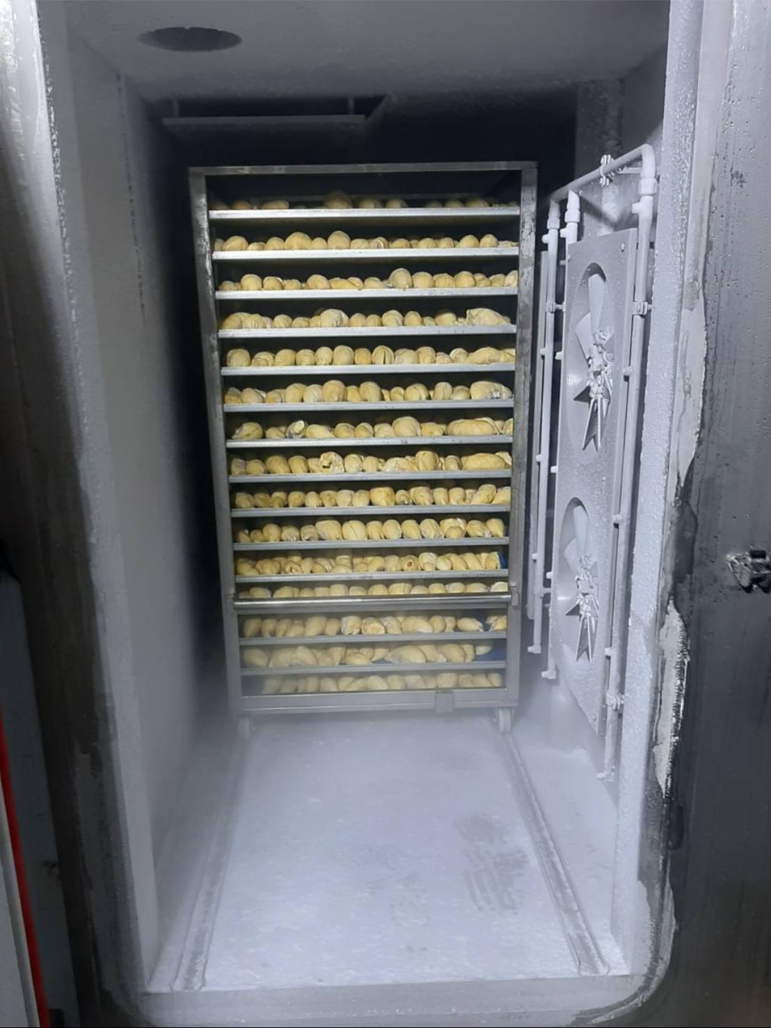 Industrial Food Freezer for Durian Pulp Freezing