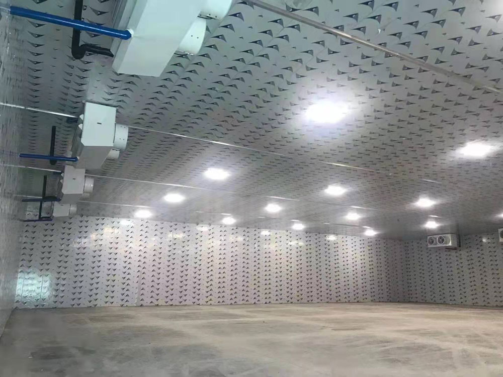 Interior of a big cold storage room