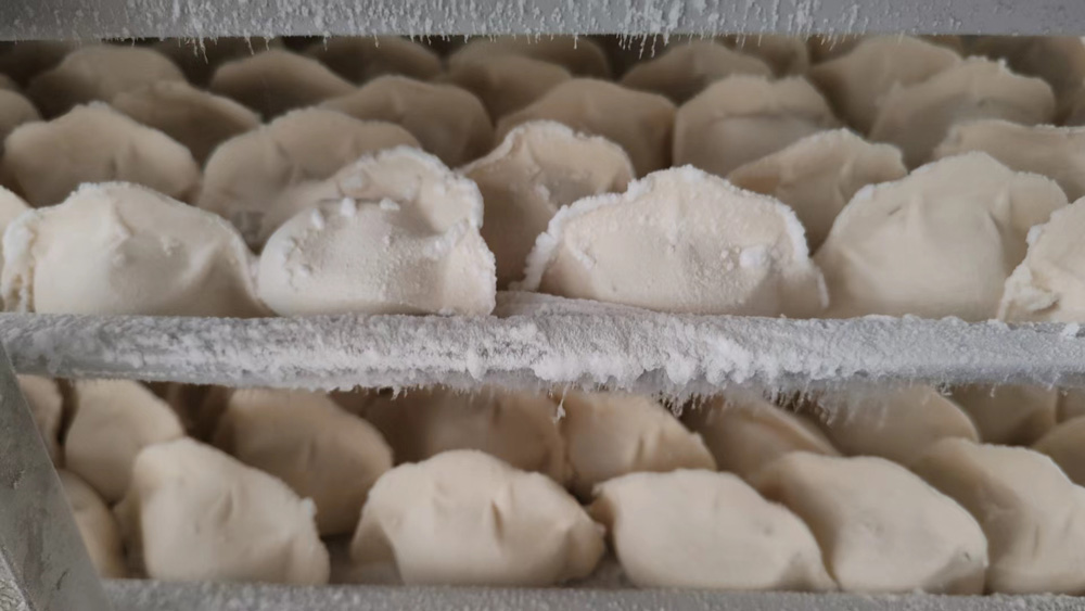 Quick freeze dumplings