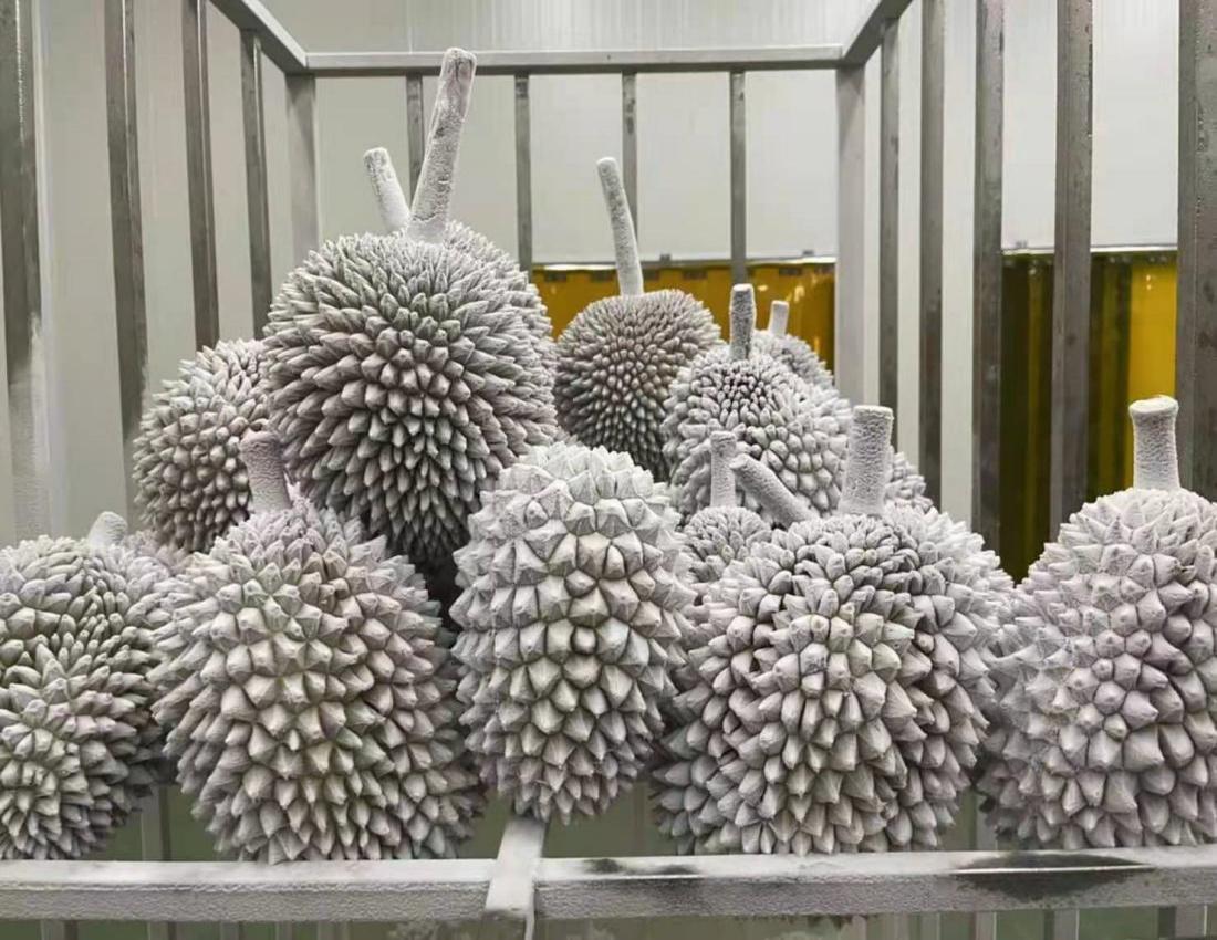 durian freezer