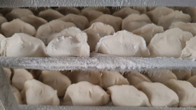 dumpling of freezer