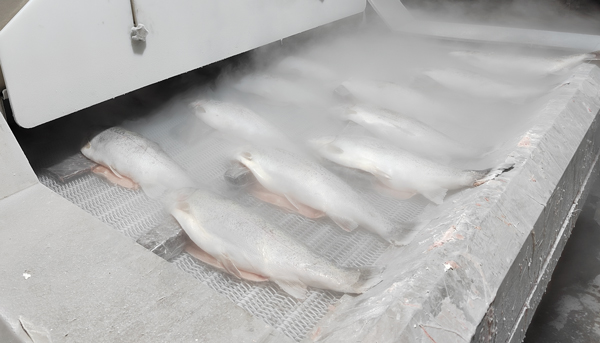 liquid nitrogen freezer frozen salmon