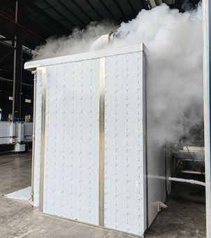 liquid nitrogen quick freezing machine 3000L