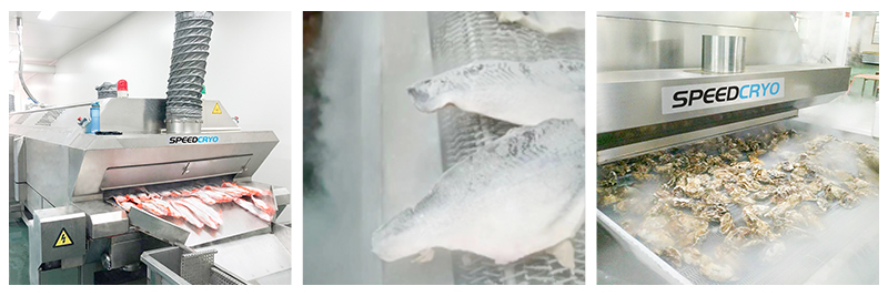 liquid nitrogen freezer for seafood