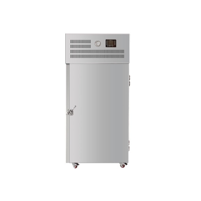 Industrial Air Blast Chiller Freezer for Food