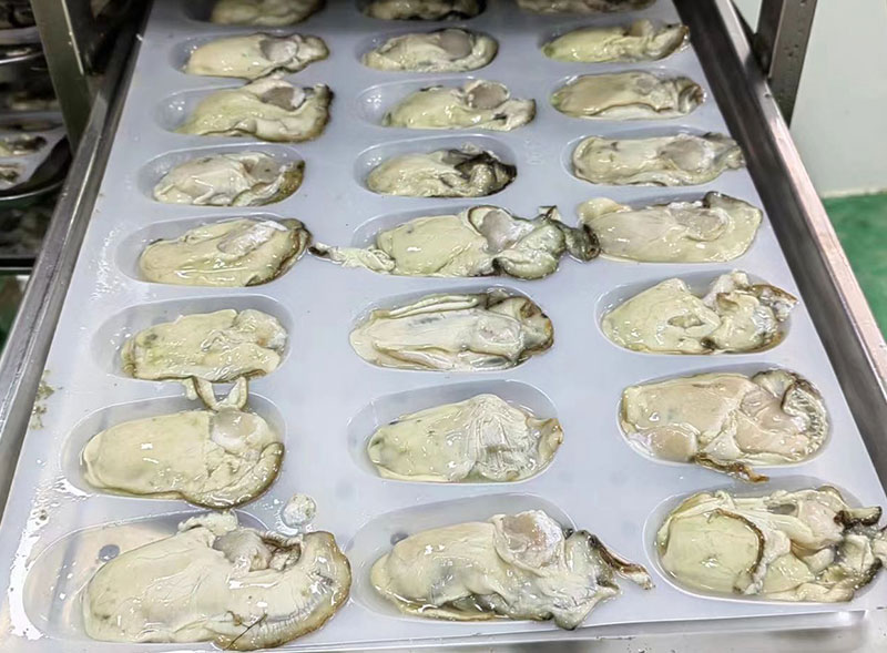 The Benefits of Freezing Fresh Oysters with Liquid Nitrogen Freezers