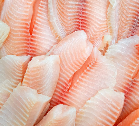 Freeze Blackfish Fillets with Liquid Nitrogen IQF Tunnel