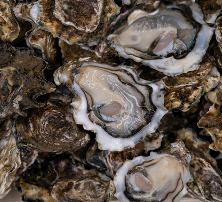 Liquid Nitrogen Freezer Revolutionizes Oyster Freezing and Preservation Technology, Improving Product Quality