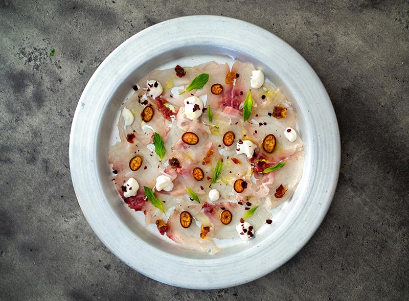 SPEEDCRYO Liquid Nitrogen Tunnel Freezer: Enhancing the Quality of Seafood Processing