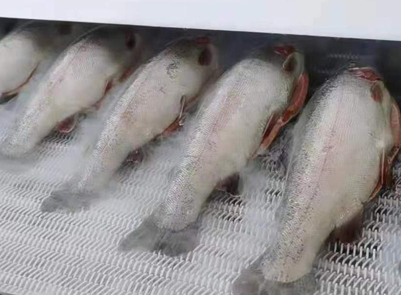 SPEEDCRYO's Liquid Nitrogen Freezers Enhance Quality in China's Salmon Industry Boom