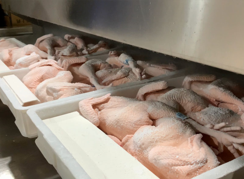 Watch How We Quick-Freeze Whole Chickens with Liquid Nitrogen IQF Tunnel!